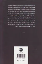 جنگجوی ظریف